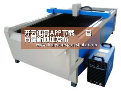 产品名称十六