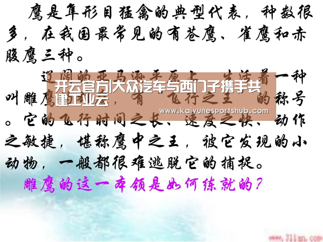 开云APP