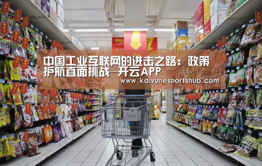 中国工业互联网的进击之路:政策护航直面挑战-开云APP(图3) 开云下载
