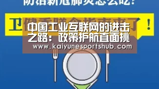 中国工业互联网的进击之路:政策护航直面挑战-开云APP(图2) 开云下载