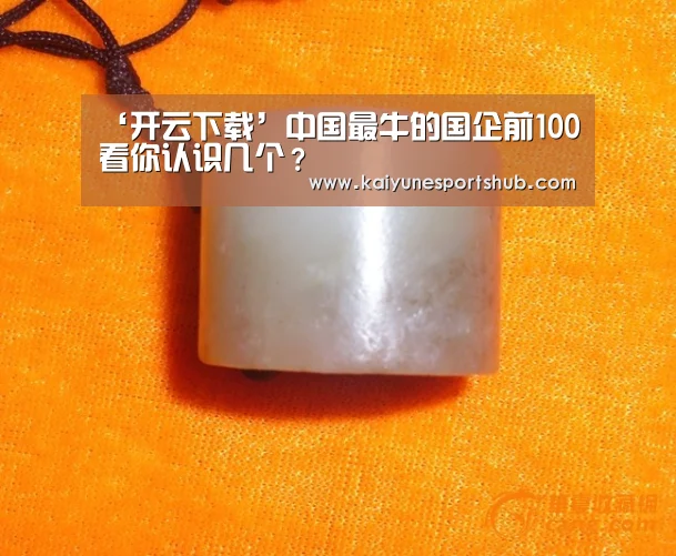 ‘开云下载’中国最牛的国企前100 看你认识几个?(图1) 开云官方