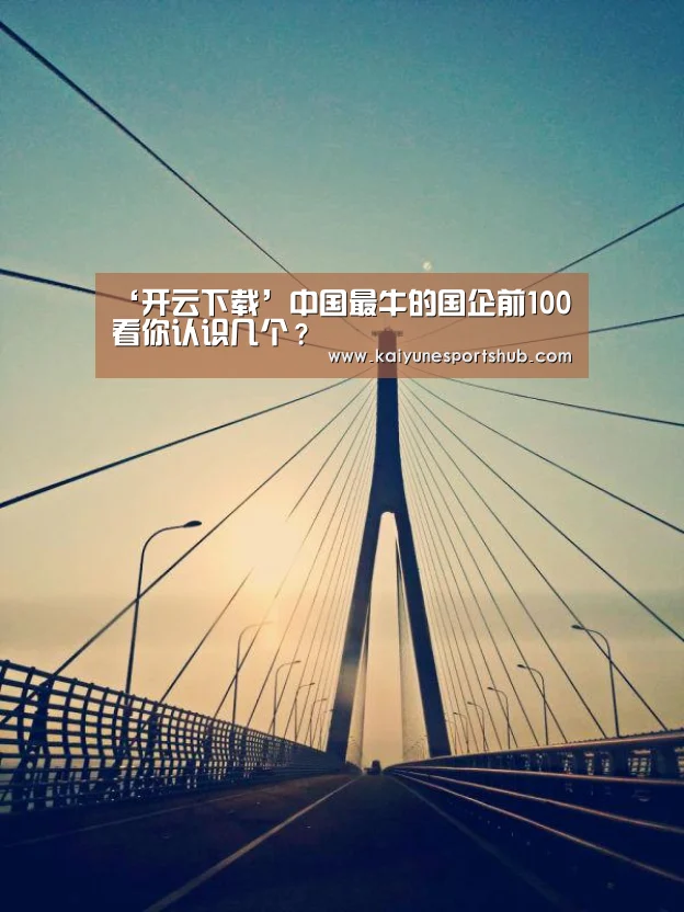 ‘开云下载’中国最牛的国企前100 看你认识几个?(图2) 开云下载